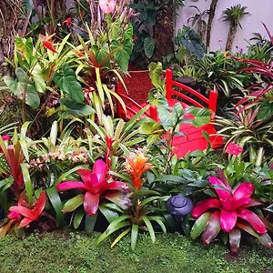 Paradise At Anthurium Hale Homestay Hilo